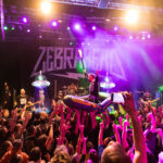 Tourauftakt von ITCHY vs. ZEBRAHEAD in Bremen – Fotos